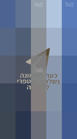 חליל צד