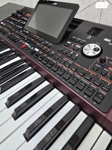 אורגן קורג korg pa1000