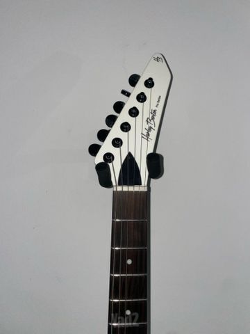 Harley benton explorer