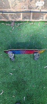 סרף סקייט  surf skate carver