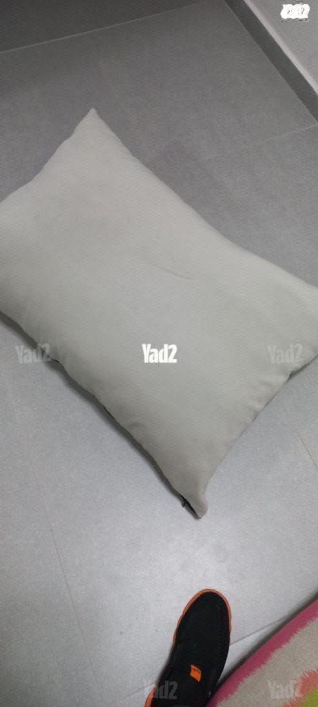 כריות רביצה