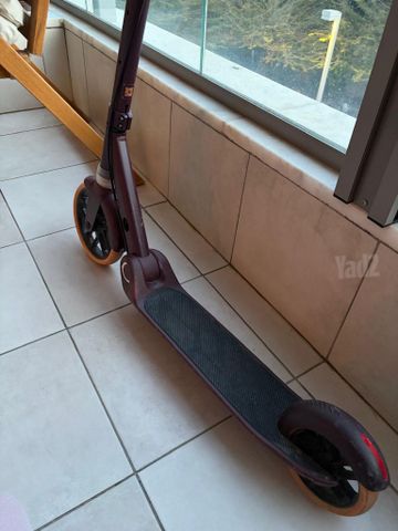 קורקינט