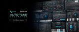 פלאגינים Plugins