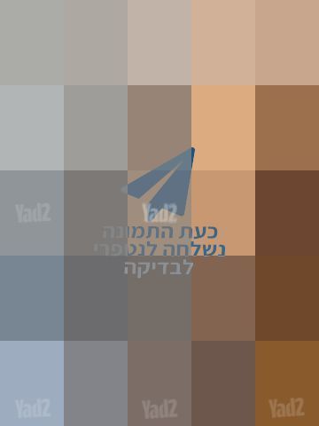 תמי 4