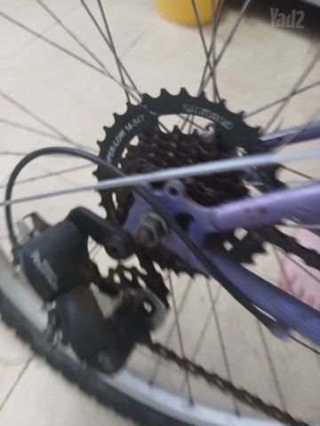אופניים נשים