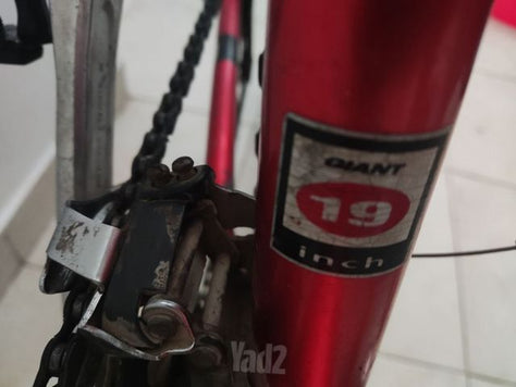 Giant26
