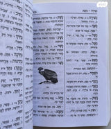 מלון כיס לתלמיד