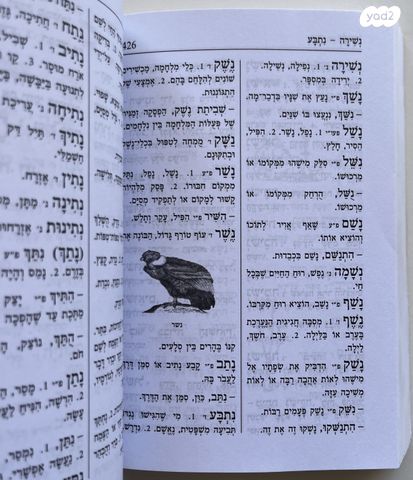 מלון כיס לתלמיד