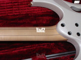 Steve Vai "PIA" signature