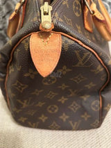 louis vuitton  speedy 30