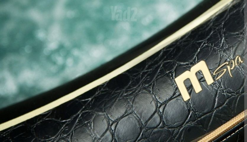 גקוזי מתנפח MSPA Exotic