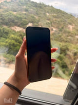 iPhone 12 Pro Max 256GB
