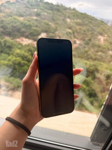 iPhone 12 Pro Max 256GB