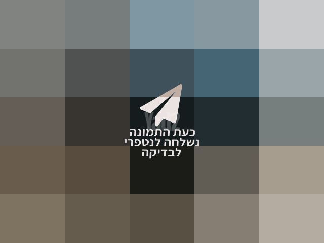 דונה X