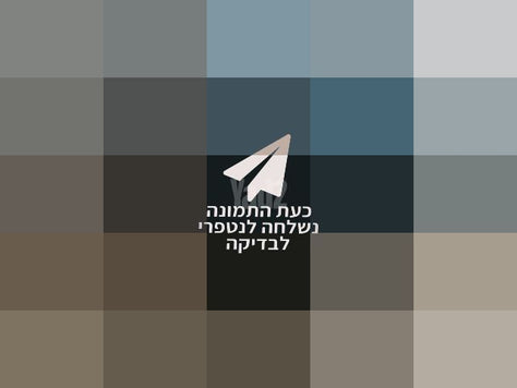 דונה X