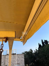צילון זרעות