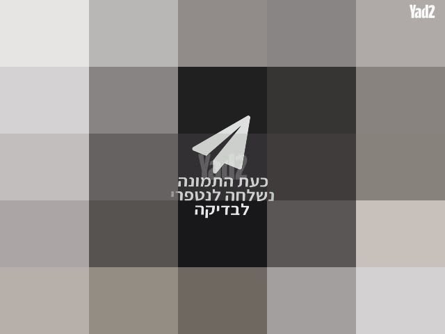 סלקל joie