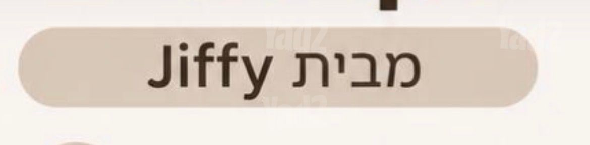 מגהץ מקצועי
