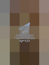 ארון קודש לפר תורה