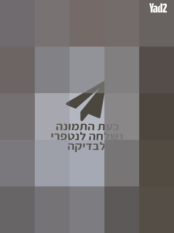 מדיח כלים