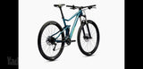 אופני MTB מרידה