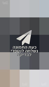 קלרינט בופה E12 חדש באריזה