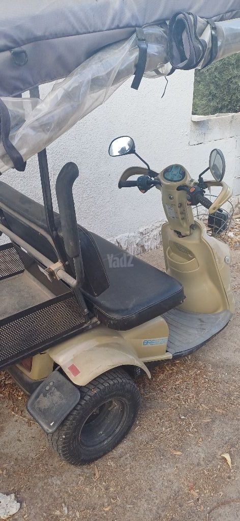 קלנועית