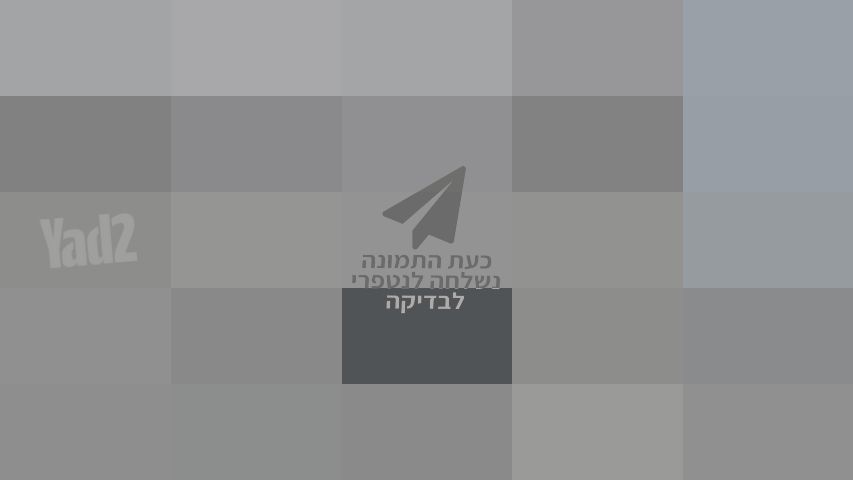 נגן סייס 3