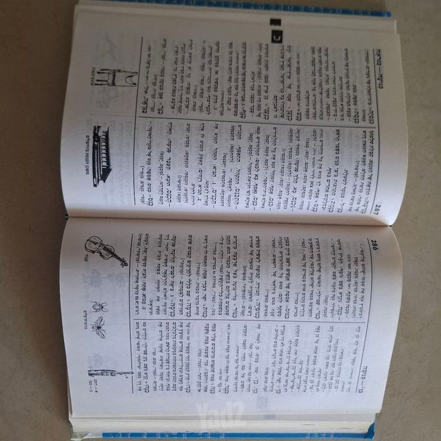 מילון בית הספר.