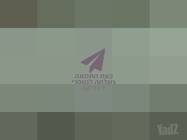 זוג מיטות יחיד