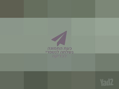 זוג מיטות יחיד