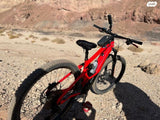 Orbea wild 2021