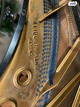 פסנתר כנף Bluthner Leipzig