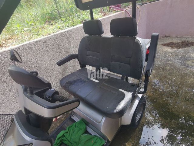 קלנועית אפיקים