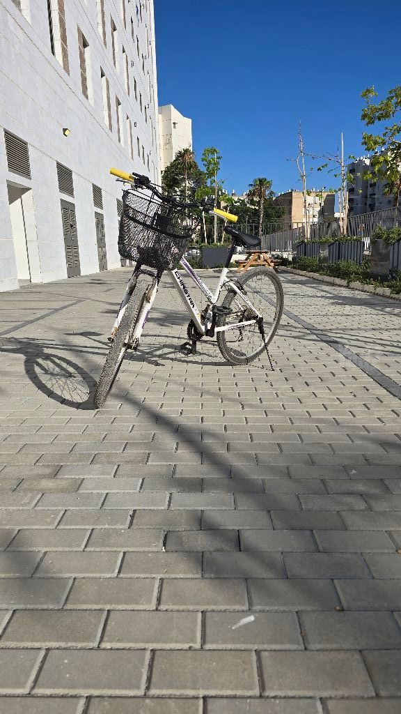 אופני עיר