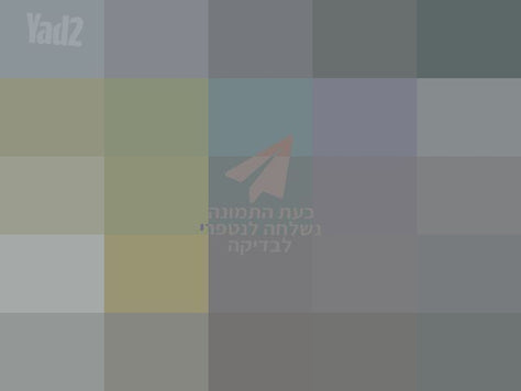 כינור The rose R35 MB 4/4