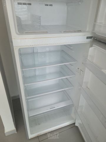 מקרר הייר בן 5