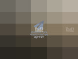 שולחן סלון