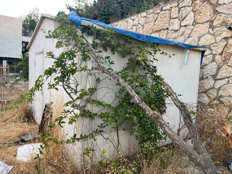 מחסן