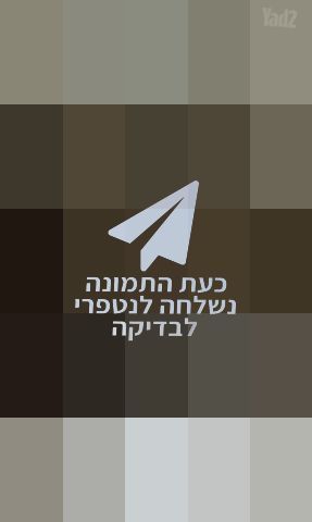 שטיח פרסי עתיק יפיפה