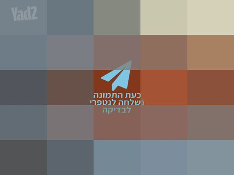 כינור צרפתי מקצועי