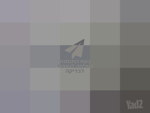 מאורר