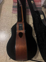 Breedlove C350/CMe משנת 2010