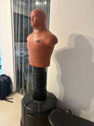בובת אגרוף בוב
