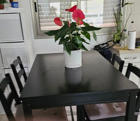 פינת אוכל