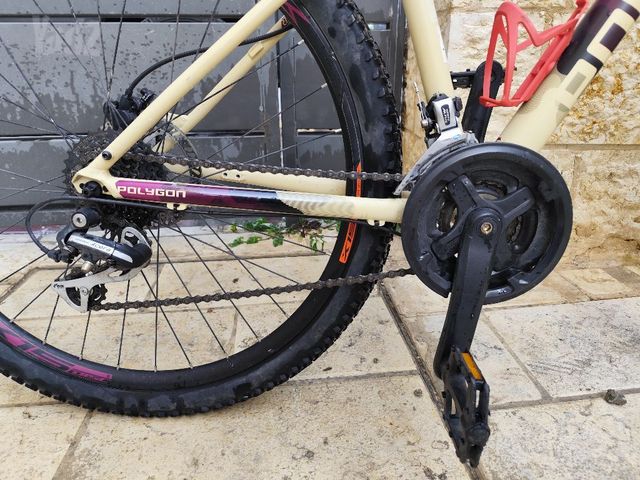 אופני Polygon Cleo