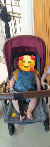 עגלת בוגבו