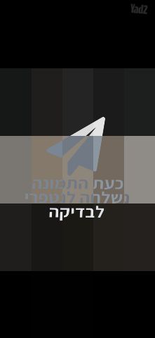 בסיסי מיטה