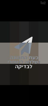 בסיסי מיטה