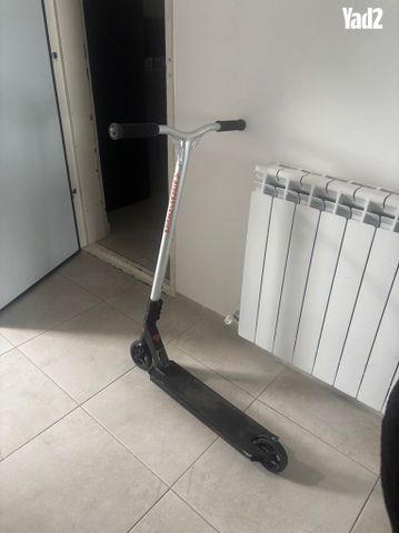 סקוט